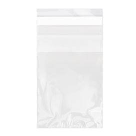Plastic Bag with Adhesive Flap Cellophane 6x8cm G-160 (100 Units) 