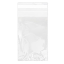 Plastic Bag with Adhesive Flap Cellophane 8x12cm G-160 (1000 Units)