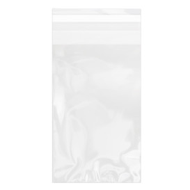 Plastic Bag with Adhesive Flap Cellophane 10x15cm G-160 (1000 Units)