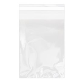 Plastic Bag with Adhesive Flap Cellophane 11x16cm G-160 (100 Units) 