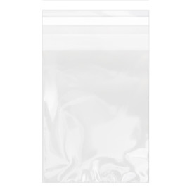 Plastic Bag with Adhesive Flap Cellophane 15x22cm G-160 (100 Units)  