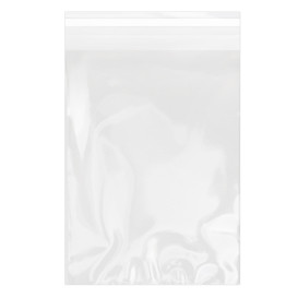 Plastic Bag with Adhesive Flap Cellophane 18x25cm G-160 (100 Units)  