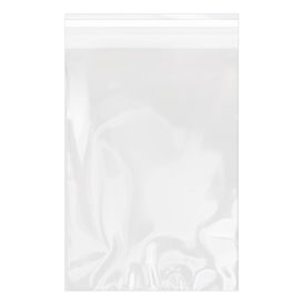 Plastic Bag with Adhesive Flap Cellophane 20x30cm G-160 (1000 Units)