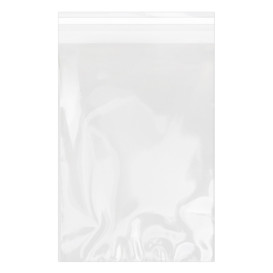 Plastic Bag with Adhesive Flap Cellophane 20x30cm G-160 (100 Units) 