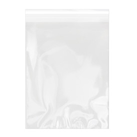 Plastic Bag with Adhesive Flap Cellophane 22x32cm G-160 (100 Units) 