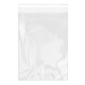 Plastic Bag with Adhesive Flap Cellophane 25x35cm G-160 (100 Units)  
