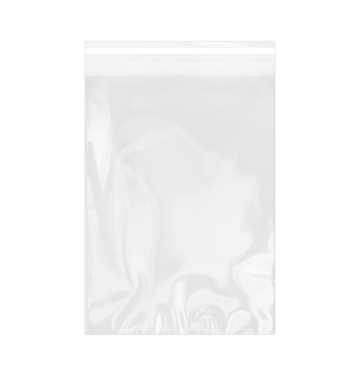 Plastic Bag with Adhesive Flap Cellophane 25x35cm G-160 (100 Units) 