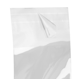 Plastic Bag with Adhesive Flap Cellophane 6x8cm G-160 (1000 Units)