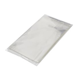 Plastic Bag with Adhesive Flap Cellophane 10x15cm G-160 (100 Units) 