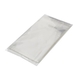 Plastic Bag with Adhesive Flap Cellophane 10x15cm G-160 (100 Units) 