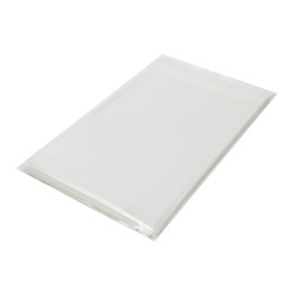 Plastic Bag with Adhesive Flap Cellophane 15x22cm G-160 (1000 Units)