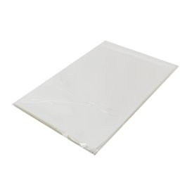 Plastic Bag with Adhesive Flap Cellophane 25x35cm G-160 (100 Units) 