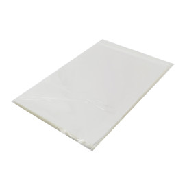 Plastic Bag with Adhesive Flap Cellophane 25x35cm G-160 (100 Units) 