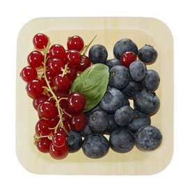Wooden Plate Square Shape 11,5x11,5cm (25 Units) 