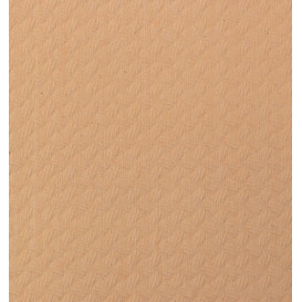 Placemat of Paper in Salmon 30x40cm 40g/m² (500 Units)