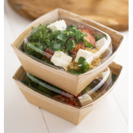 Rectangle Kraft Salad Bowl 500ml 15x12x6cm (400 Units)