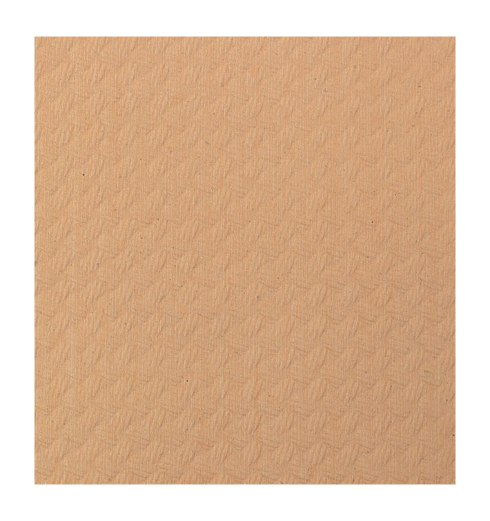 Paper Tablecloth Roll Salmon 1x100m 40g (1 Unit) Paper Tablecloth Roll Salmon 1x100m 40g (1 Unit)