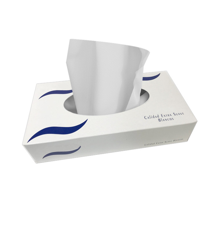 Facial Tissue 2 Layers Case 100 Units (1 Unit) Facial Tissue 2 Layers Case 100 Units (1 Unit)