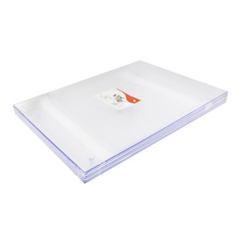 Tasting Tray in PS 37x27x2cm (24 Units)