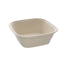 Sugarcane Bowl Natural Square Shape 3500ml 27cm (25 Units)