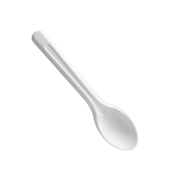 Spoon in sugar cane