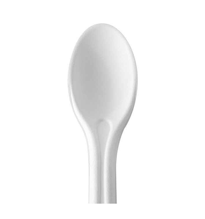 Spoon in sugar cane