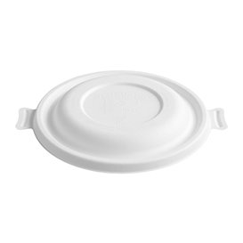 Paper Napkin Pistachio 25x25cm 2C (2100 Units)