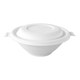 Paper Napkin Pistachio 25x25cm 2C (2100 Units)