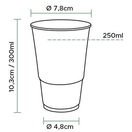 Plastic Cup PP Clear 300ml Ø7,3cm (100 Units)  