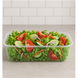 Rectangular Container in PP Transparent 500ml 17,4x11,6x3,5cm (500 Units)