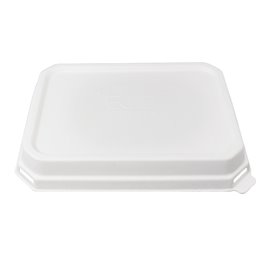 Lid in PLA for Sugarcane Tray 16,5x21,5cm (50 Units)
