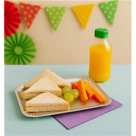 Paper Tray Rectangular shape Silver 18x24cm (100 Units)  