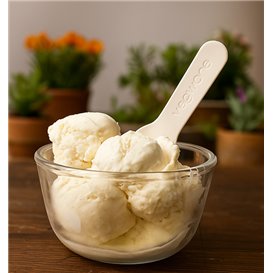 Paper Ice Cream Spoon Compostable White 9cm (2.000 Units)