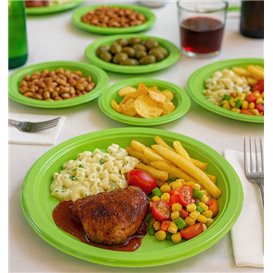 PS Reusable Plastic Plate Flat Lime Green Ø220mm (25 Units)