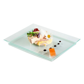 Plastic Tray PS Extra Rigid Water Green 13x18cm 